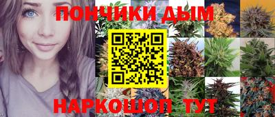 стаф Коммунар