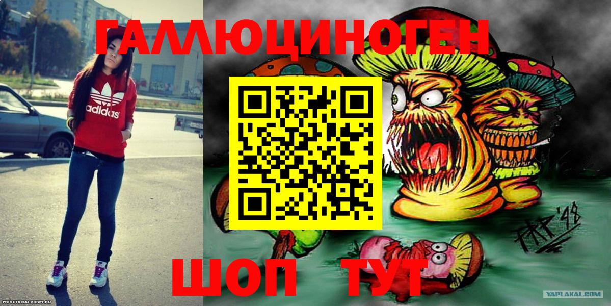 Галлюциногенные грибы Psilocybe Карачаевск