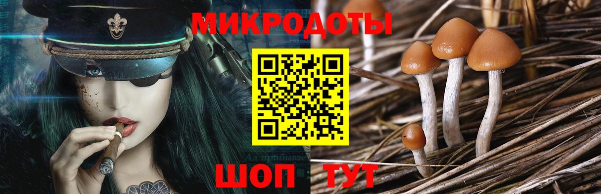 Карачаевск  Псилоцибиновые грибы Magic Shrooms  Вход с VPN  Псилоцибиновые грибы мицелий 